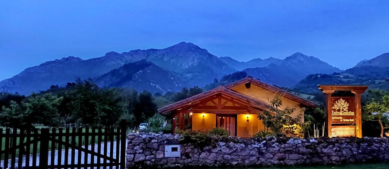 Casas Rurales Entrecastanos Кангас-де-Онис Экстерьер фото