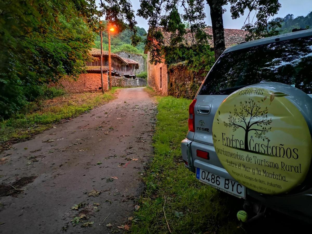 Casas Rurales Entrecastanos Кангас-де-Онис Экстерьер фото