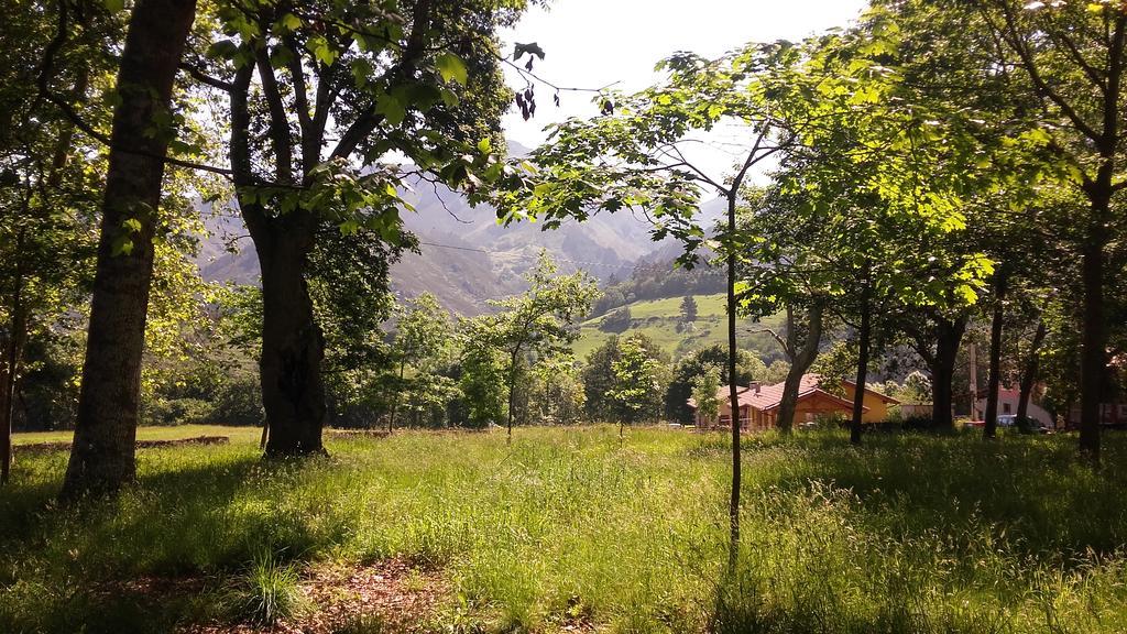 Casas Rurales Entrecastanos Кангас-де-Онис Экстерьер фото