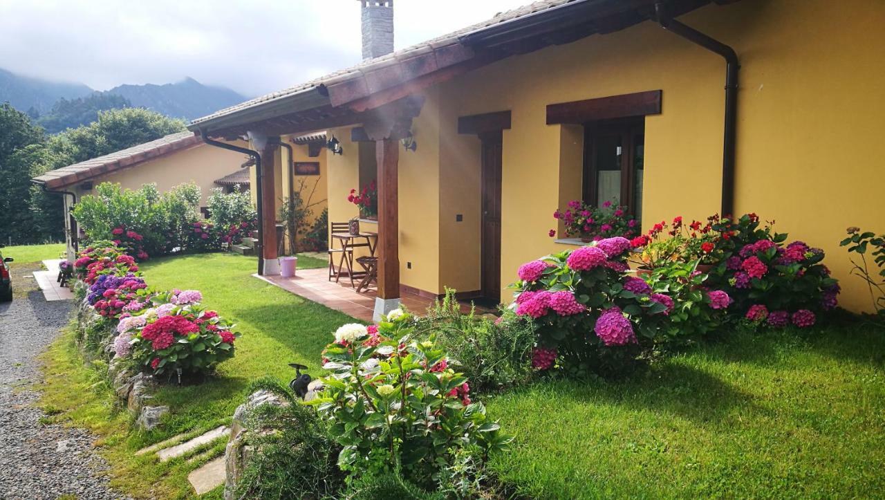 Casas Rurales Entrecastanos Кангас-де-Онис Экстерьер фото