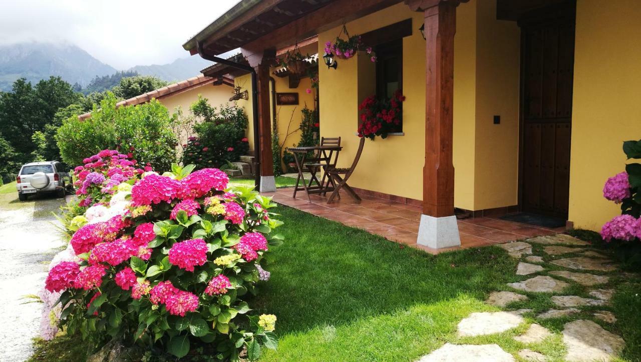 Casas Rurales Entrecastanos Кангас-де-Онис Экстерьер фото